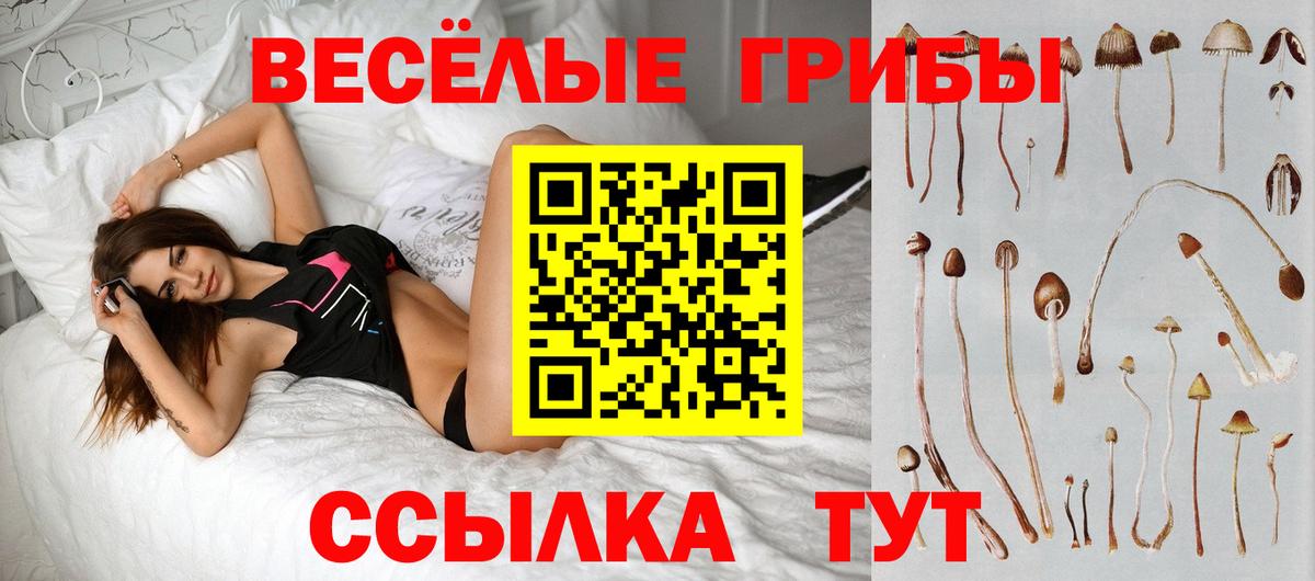 Галлюциногенные грибы Cubensis  Вход с VPN  Салехард  Галлюциногенные грибы Cubensis 